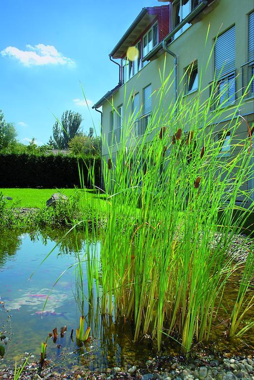 Landhotel Altes Wasserwerk Gbr Фрайнсхайм Екстериор снимка
