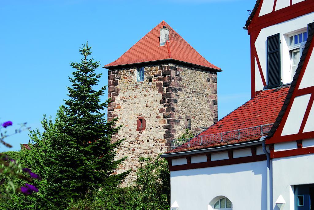 Landhotel Altes Wasserwerk Gbr Фрайнсхайм Екстериор снимка